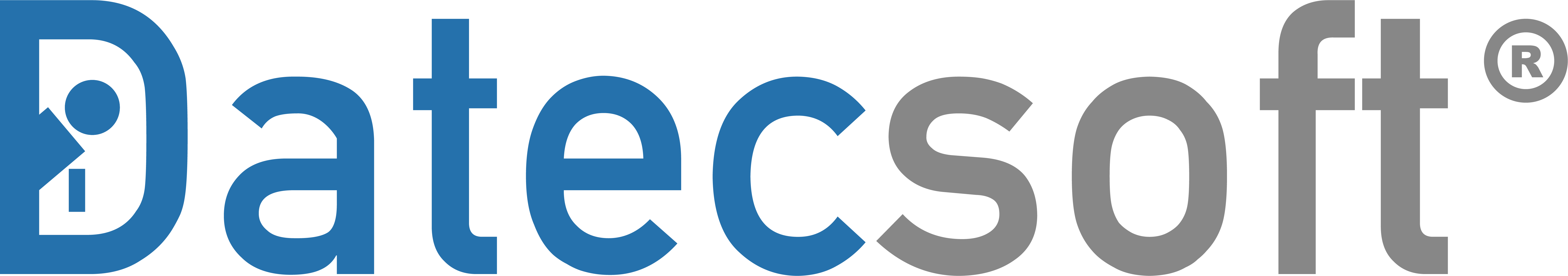 Datecsoft Logo
